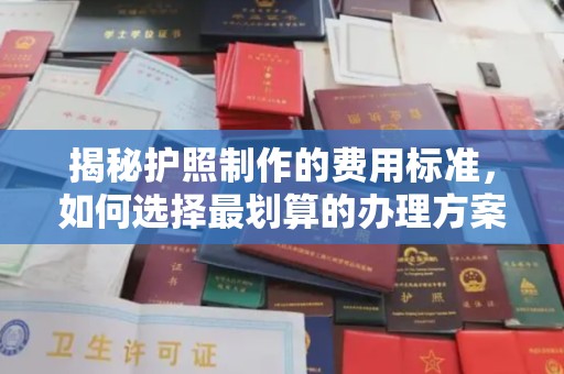 从江揭秘护照制作的费用标准，如何选择最划算的办理方案？