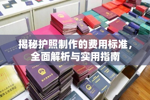 从江揭秘护照制作的费用标准，全面解析与实用指南