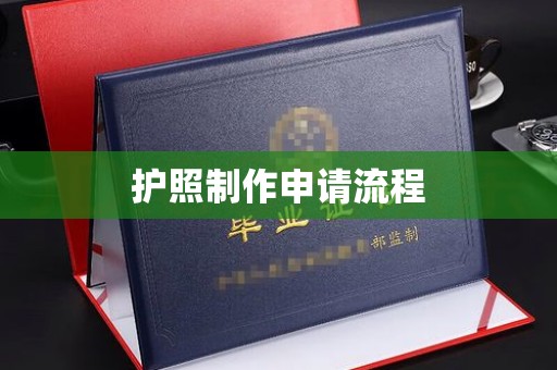 从江护照制作申请流程