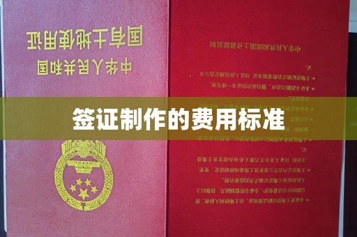 从江签证制作的费用标准