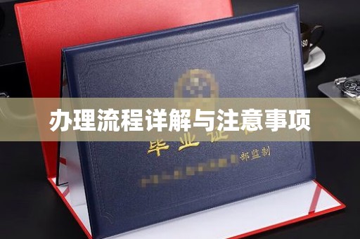 从江办理流程详解与注意事项