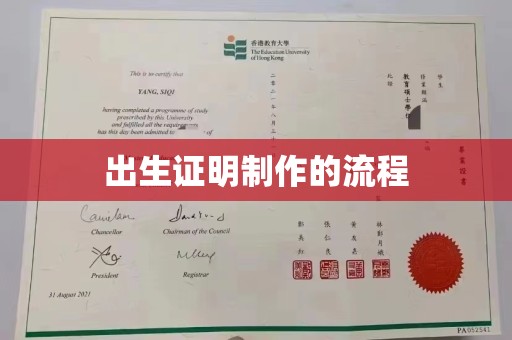从江出生证明制作的流程
